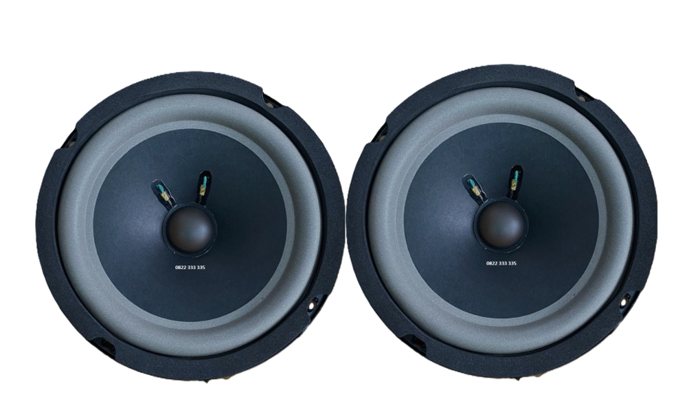 Loa cánh cửa ô tô Bose 6.5 inch