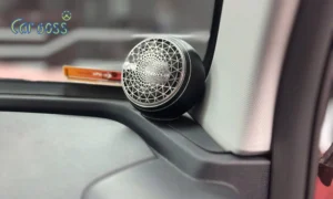 Độ loa ô tô VinFast Limo Green
