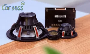 Nâng cấp âm thanh VinFast VF9