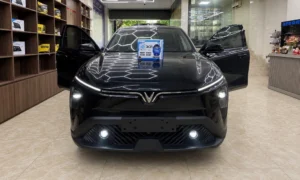 Độ đèn bi gầm Limo Green