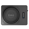 Sub điện BLAUPUNKT BGr 110130 A